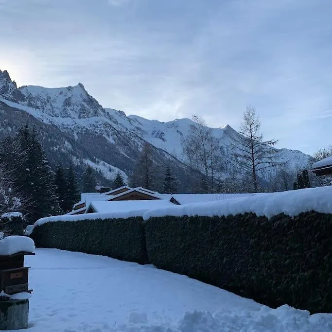Belle Vue Des Praz Διαμέρισμα Σαμονί